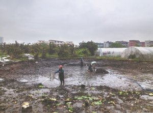 武邑河道鱼塘清淤